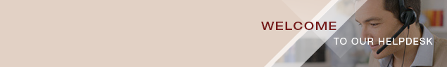 Online live chat window header #25 - English