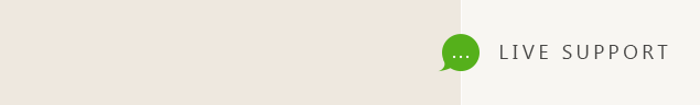 Online live chat window header #33 - English