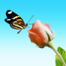 Live chat online operator picture #11