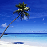 Live chat online operator picture #4