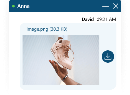 Your customers can send screenshots right from their clipboard Screenshot preview