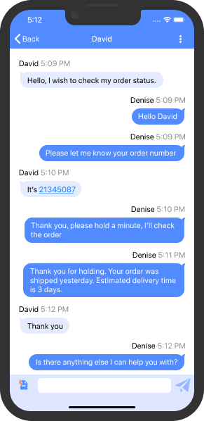Chat messages include names and timings Chat text in application for iOS